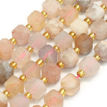 Natural Cherry Blossom Agate  Beads Strands G-I376-D37-01-1