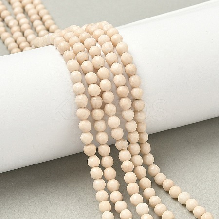 Natural Fossil Beads Strands G-K209-05D-4mm-1