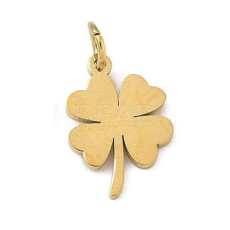 304 Stainless Steel Charms LS-STAS-M120-07C-G-1