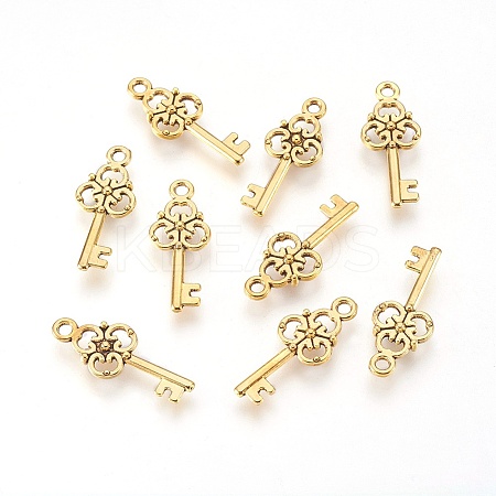 Tibetan Style Alloy Pendant GLF8363Y-NF-1