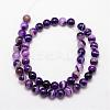 Natural Striped Agate/Banded Agate Bead Strands G-K166-13-10mm-04-2
