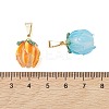 Handmade Lampwork Pendants PALLOY-JF05186-5