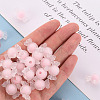 Transparent Acrylic Beads TACR-S152-13C-A01-5