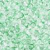 Baking Paint Electroplate Transparent Glass Seed Beads SEED-N006-07D-3