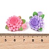 Opaque Resin Cabochons RE-CBAA0C5-04-3