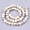 Natural Cultured Freshwater Pearl Beads Strands PEAR-T003-10-2
