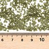 MIYUKI Delica Beads SEED-X0054-DB2404-3