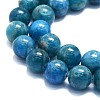 Natural Apatite Beads Strands G-K245-A03-05-3