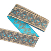 Ethnic Style Embroidery Polyester Ribbons OCOR-WH0077-32-1