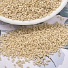 MIYUKI Delica Beads SEED-X0054-DB1591-1