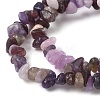 Natural Lepidolite/Purple Mica Stone Beads Strands G-Z081-A01-4