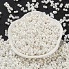 Glass Seed Beads SEED-L011-04A-21-2
