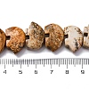 Natural Picture Jasper Beads Strands G-F783-G03-01-3