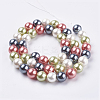 Electroplate Shell Pearl Beads Strands BSHE-E018-10mm-06-2