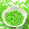 Baking Paint Glass Seed Beads SEED-H002-I-B509-2