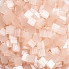 MIYUKI TILA Beads SEED-MY05-TL2555-1
