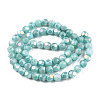 Opaque Frosted Glass Beads Strands EGLA-N006-076C-2