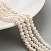 Natural Cultured Freshwater Pearl Beads Strands PEAR-C003-17B-X-1