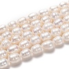 Natural Cultured Freshwater Pearl Beads Strands PEAR-L033-81-01-1