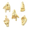 30Pcs 5 Styles Alloy Rhinestone Pendants FIND-CJ0002-42-3
