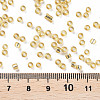 8/0 Glass Seed Beads X2-SEED-A005-3mm-22-3