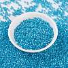 MIYUKI Round Rocailles Beads X-SEED-G008-RR0647-3
