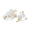 Opalite Pendants KK-P242-31G-02-2