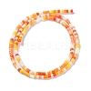 Handmade Lampwork Beads Strands LAMP-L078-008B-2