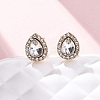 Alloy Silicone Clip-on Earrings EJEW-Z120-02G-02-2