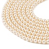 Preciosa® MAXIMA Crystal Nacre Pearls Y-PRC-NPA4-70000-4