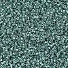 MIYUKI Delica Beads SEED-X0054-DB0416-3
