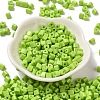 Baking Paint Glass Bead SEED-H002-K-D302-2