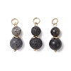 3Pcs 3 Styles Natural Lava Rock & Larvikite & Golden Sheen Obsidian Round Beaded Pendants PALLOY-JF04701-07-1