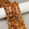 Natural Amber Chip Beads Strands X-G-E271-81-01-2