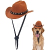 Felt Pet Cowboy Hat AJEW-WH20070-131C-1
