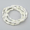 Electroplated Opaque Glass Beads Strands EGLA-L015-FR-B17-01-3