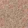 TOHO Round Seed Beads X-SEED-TR15-0031-2