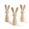 Unfiished Wood Peg Dolls PW-WG94046-01-2