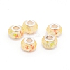 Resin European Beads RPDL-TAC0002-02B-2
