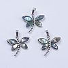 Abalone Shell/Paua Shell Pendants X-SSHEL-L008-07P-1