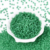 FGB Frosted Transparent Glass Seed Beads SEED-N013-04A-09-2