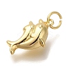 Rack Plating Brass Pendants KK-I720-69G-2