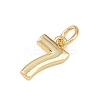 Brass Charms KK-G544-10G-07-2