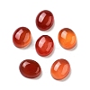 Dyed & Heated Natural Carnelian Cabochons G-G145-01A-23-1