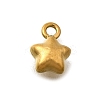 304 Stainless Steel Charms LS-STAS-D310-06G-05-1