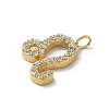 Ion Plating(IP) 304 Stainless Steel Micro Pave Cubic Zirconia Charms STAS-Z107-09G-09-2
