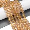 Frosted Transparent Glass Bead Strands GLAA-P065-10mm-02-1