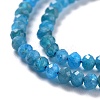Natural Apatite Beads Strands G-K312-20B-3