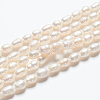 Natural Cultured Freshwater Pearl Strands A23WM011-01-5