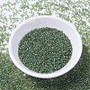 MIYUKI Delica Beads SEED-JP0008-DB1247-1